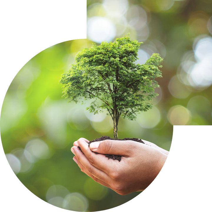 关怀人类、文化、环境与社会